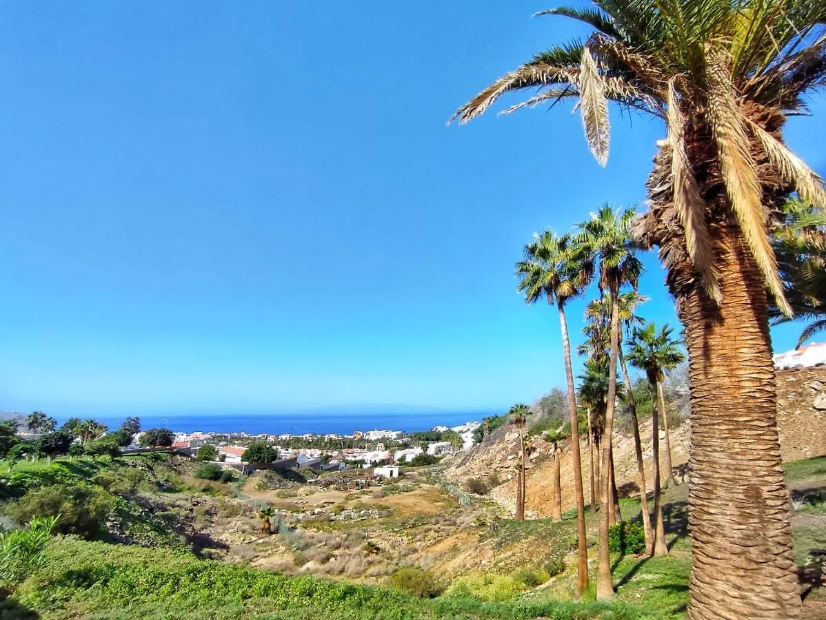 Sea View Nice Apartament In Ocean View Costa Adeje  Apartment Costa Adeje (Tenerife)
